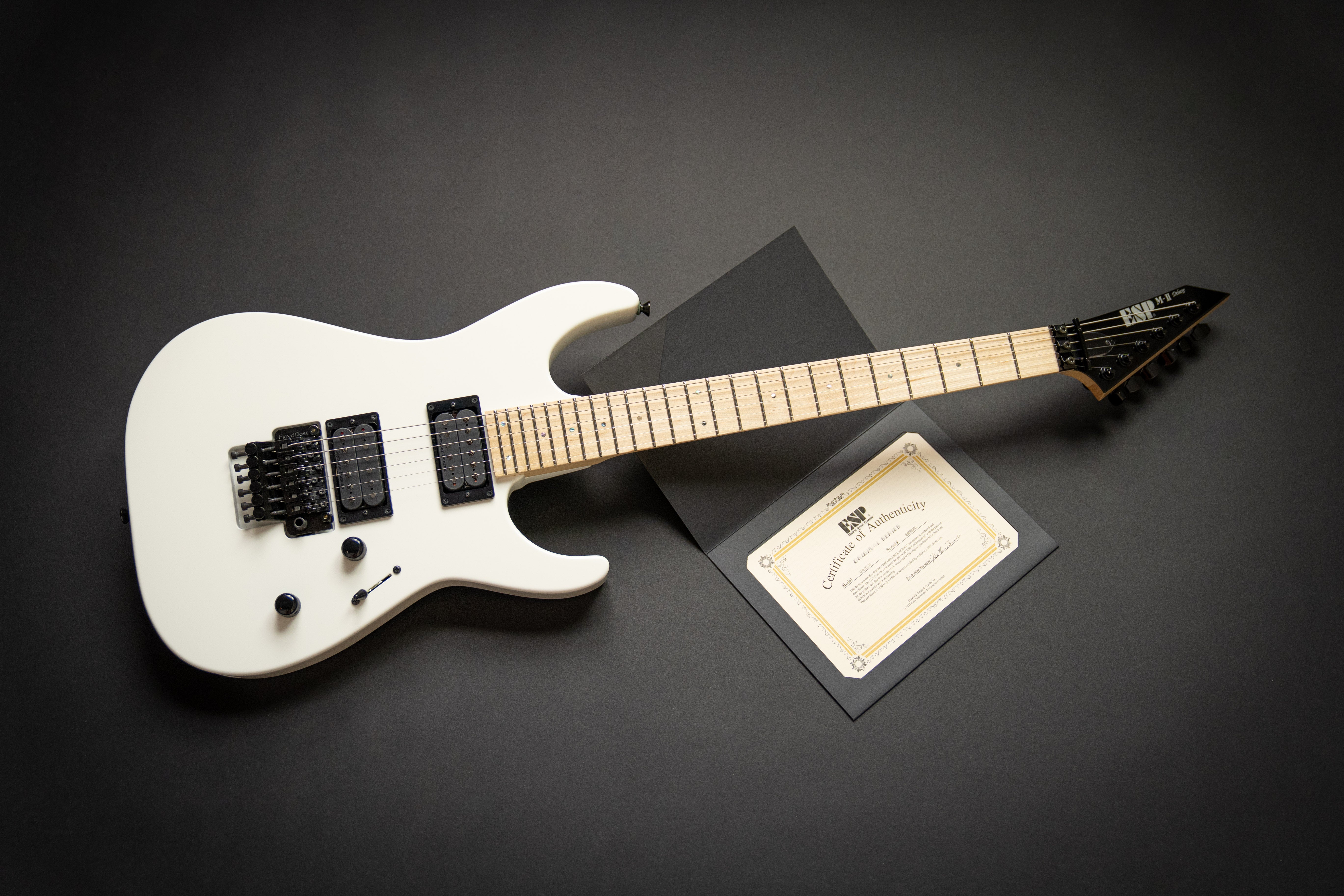 Custom Shop M-II DX-M Snow White (E8090202)